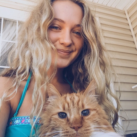 Meet your posher, Raven - Picture 3 of 7